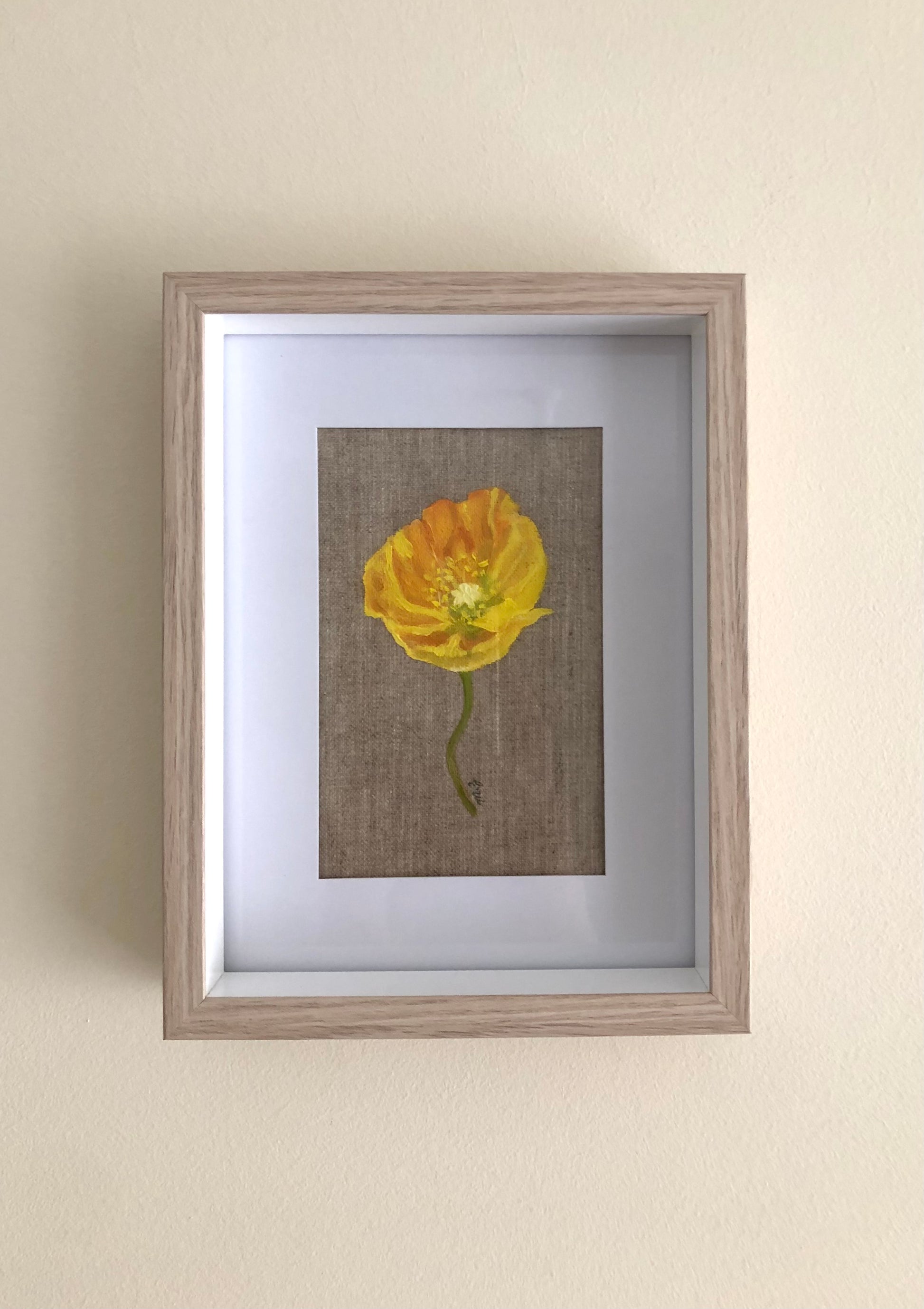 Poppy