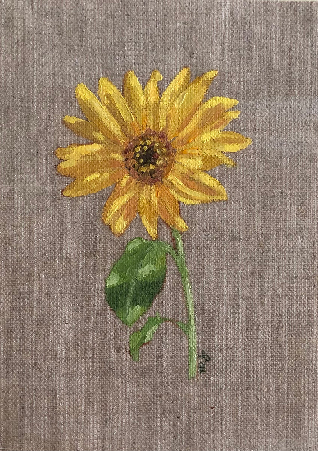 Sunflower