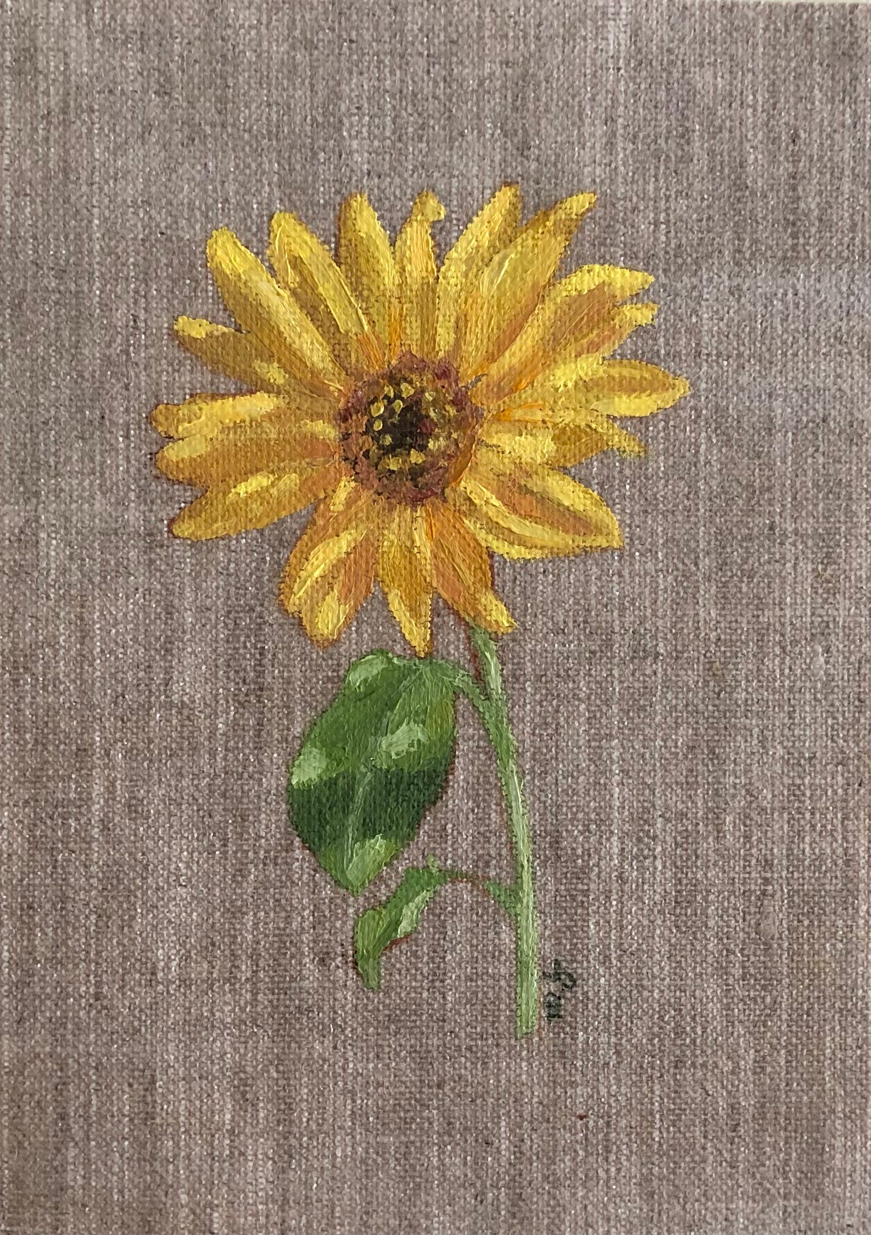 Sunflower