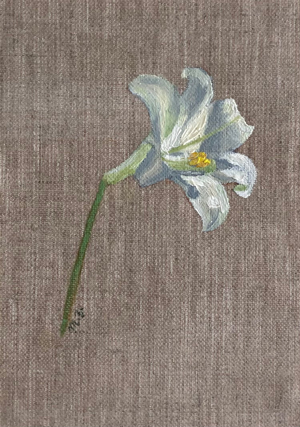 Lily