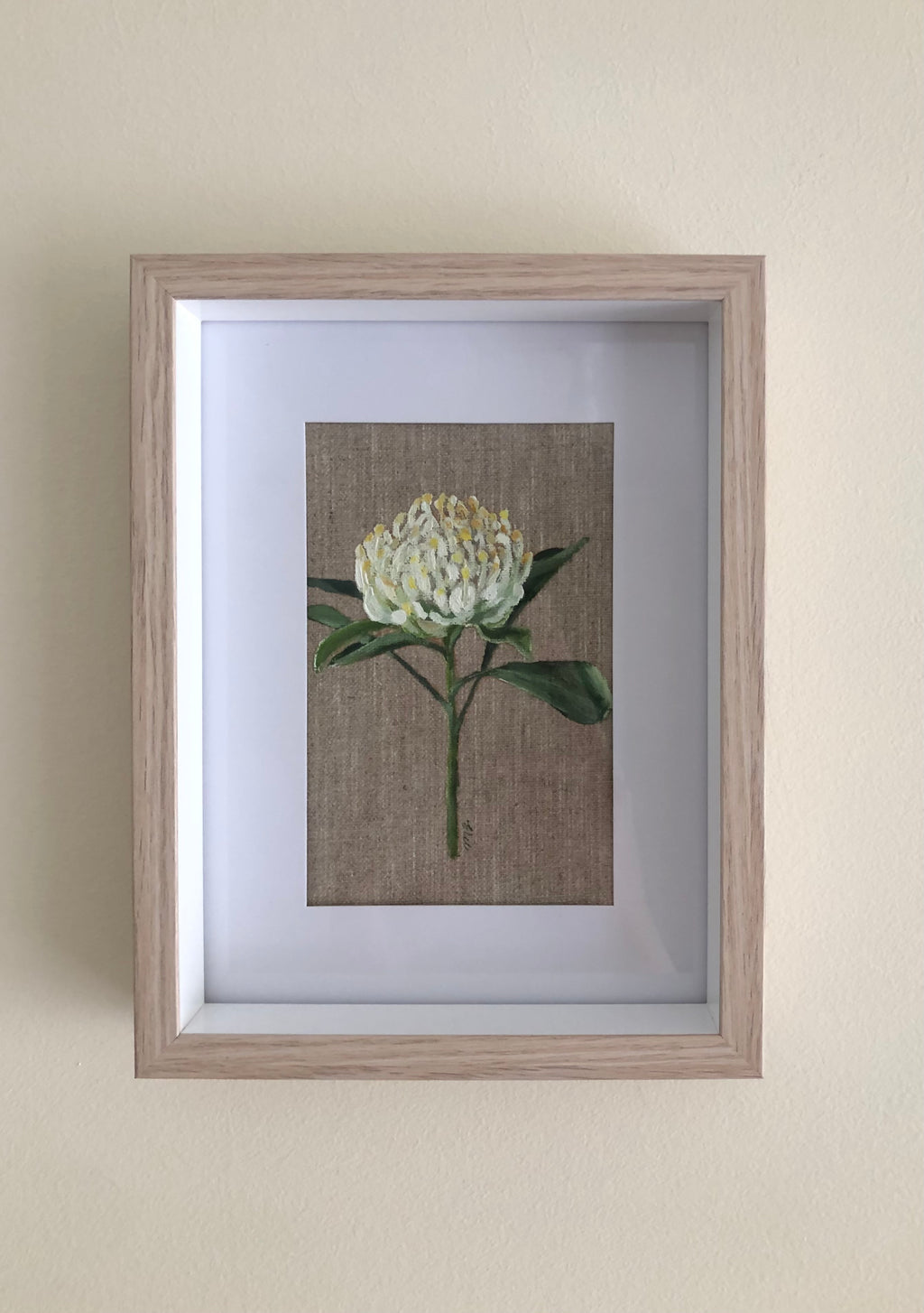 Waratah