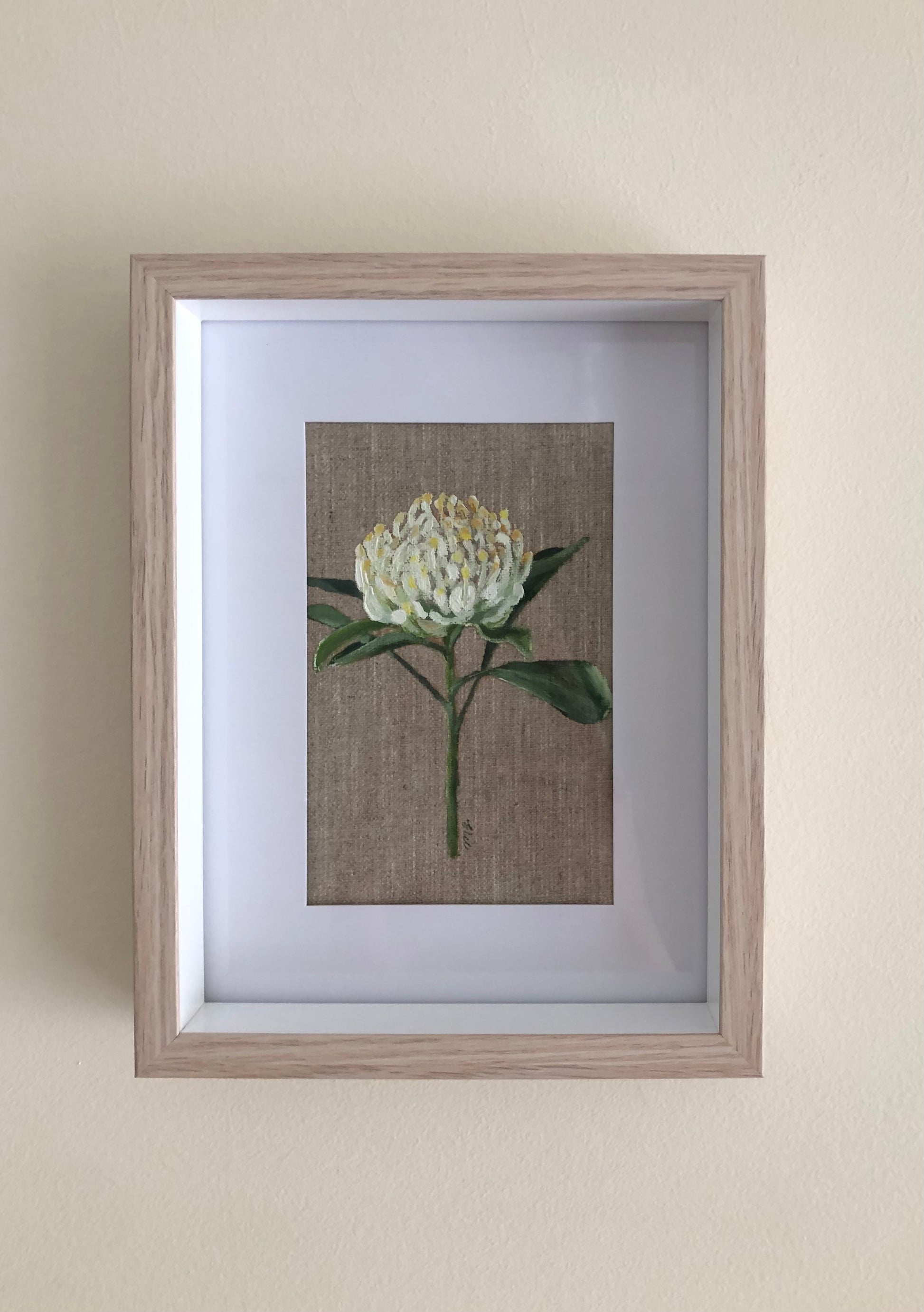 Waratah