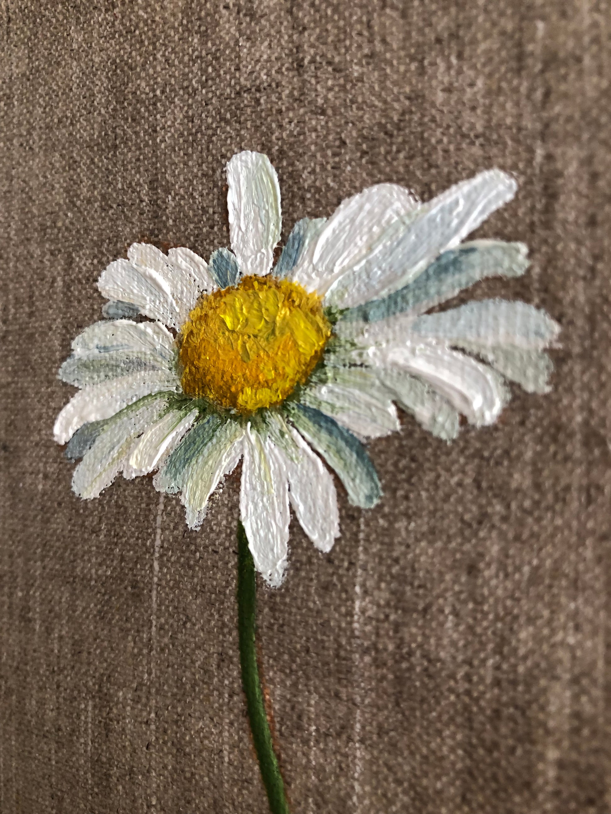 Daisy