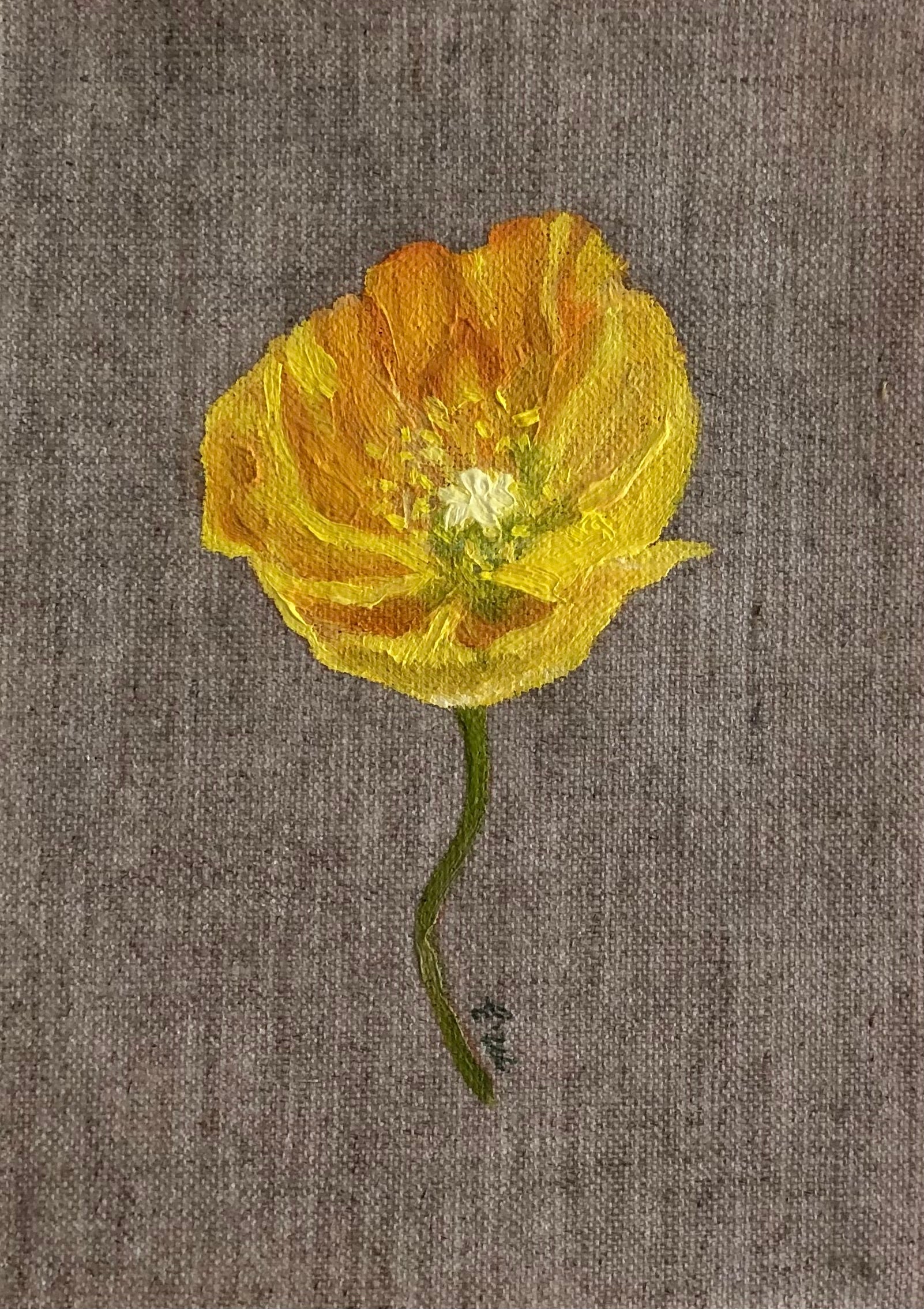 Poppy