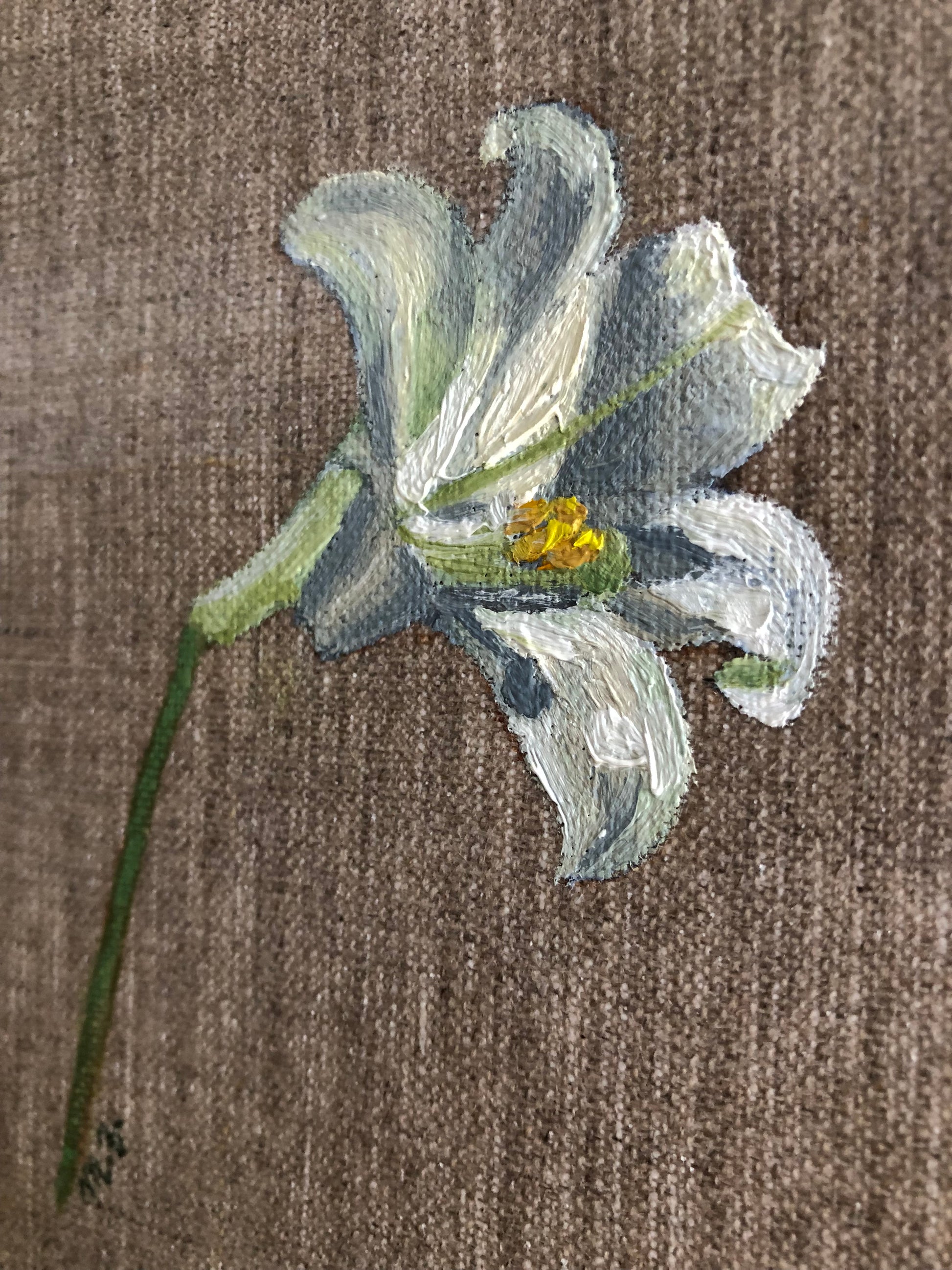 Lily