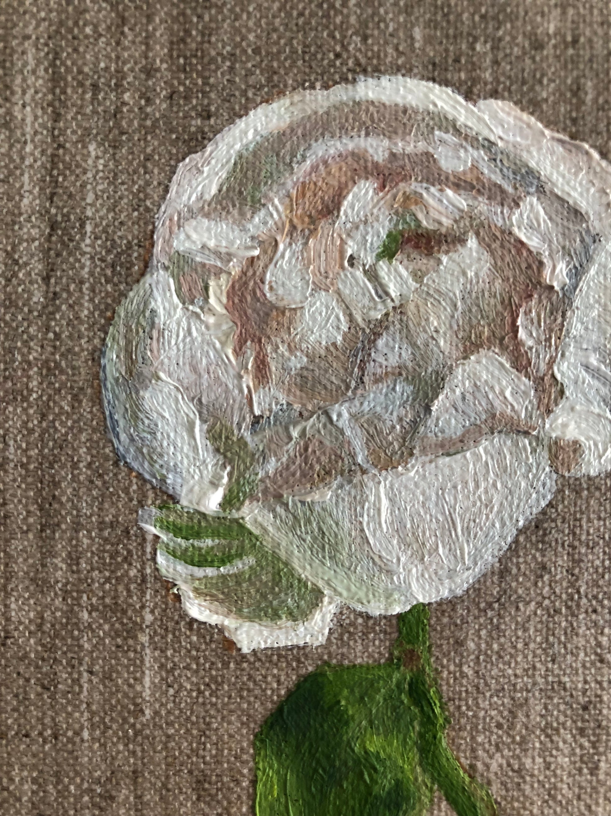 Peony