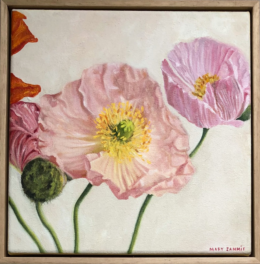 Poppies