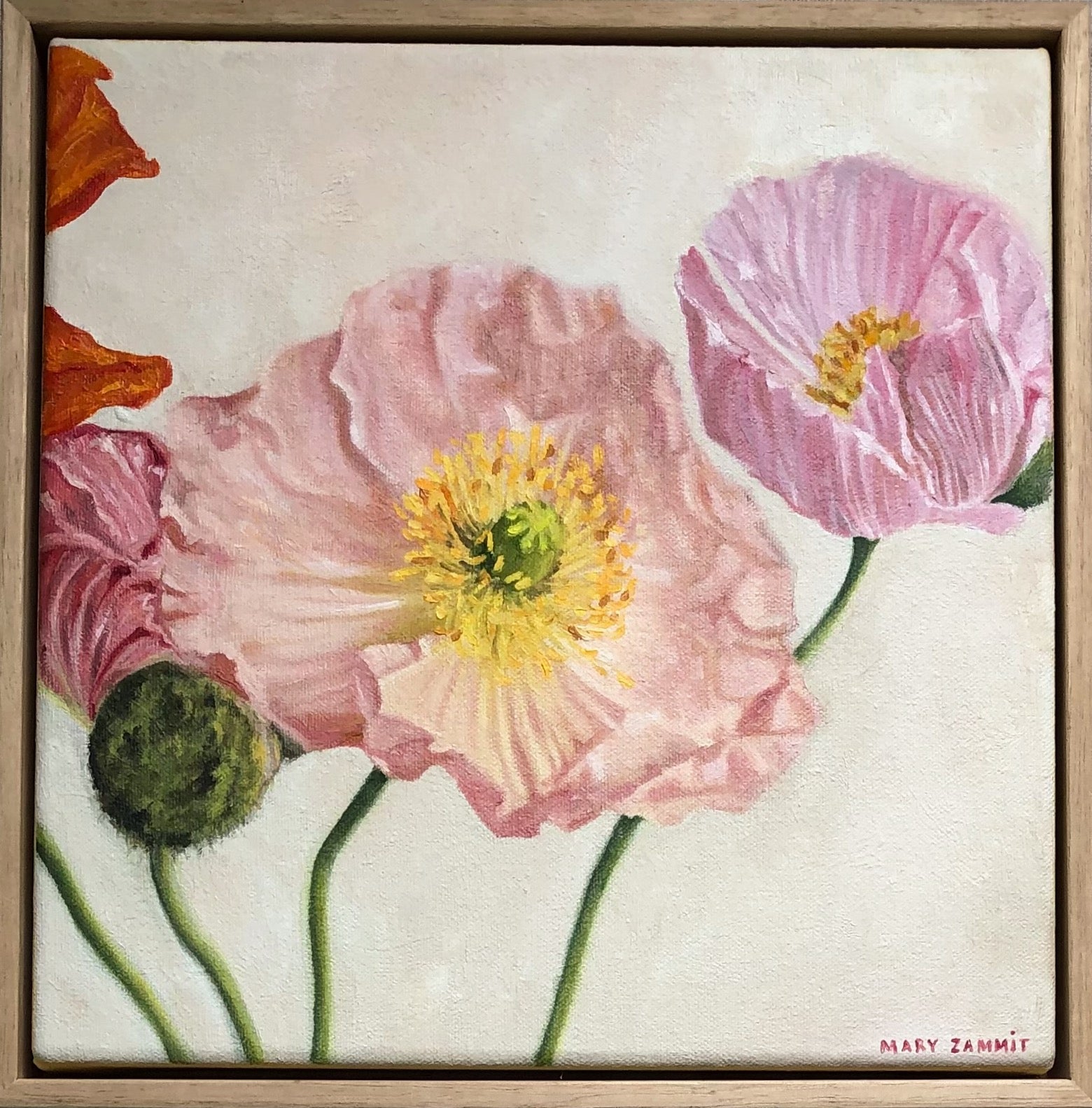 Poppies