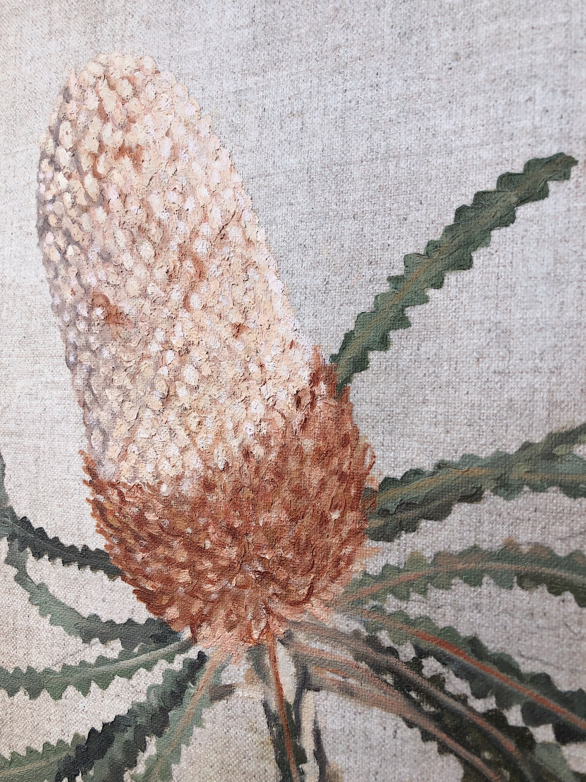Banksia in Jar