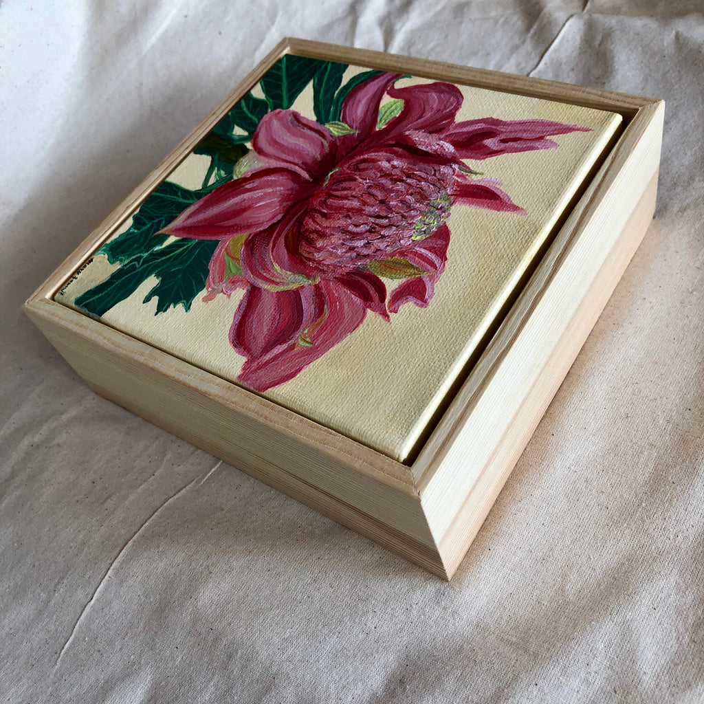 Pink Waratah Flower
