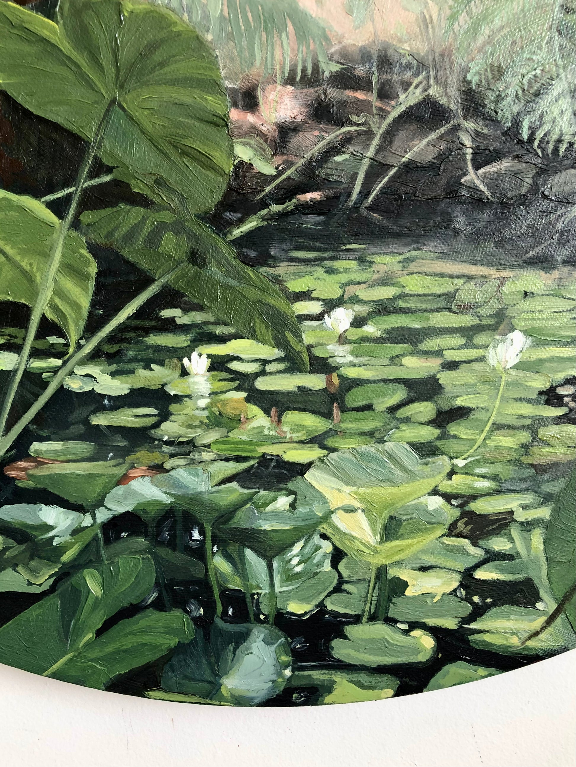Oasis