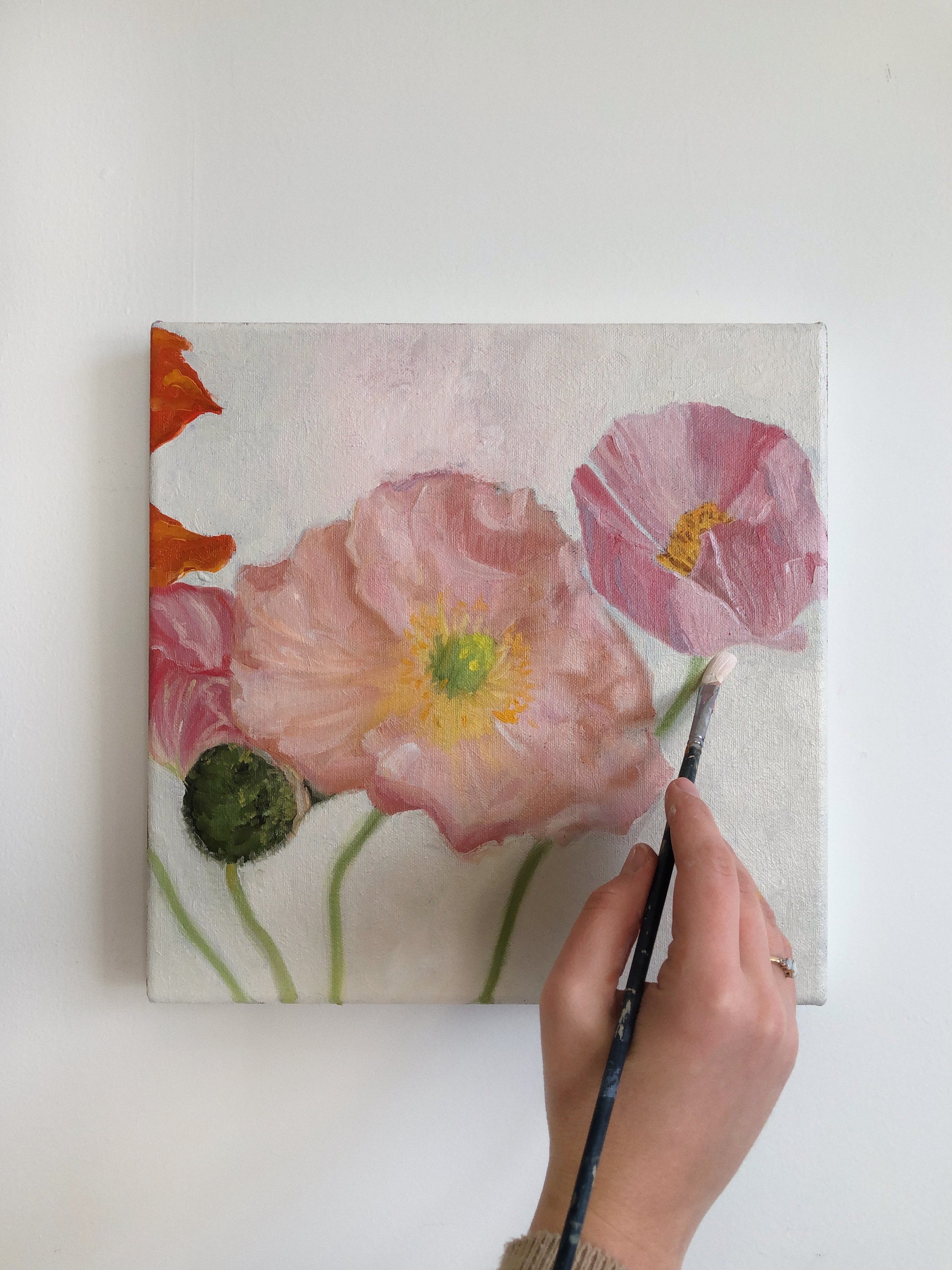 Poppies