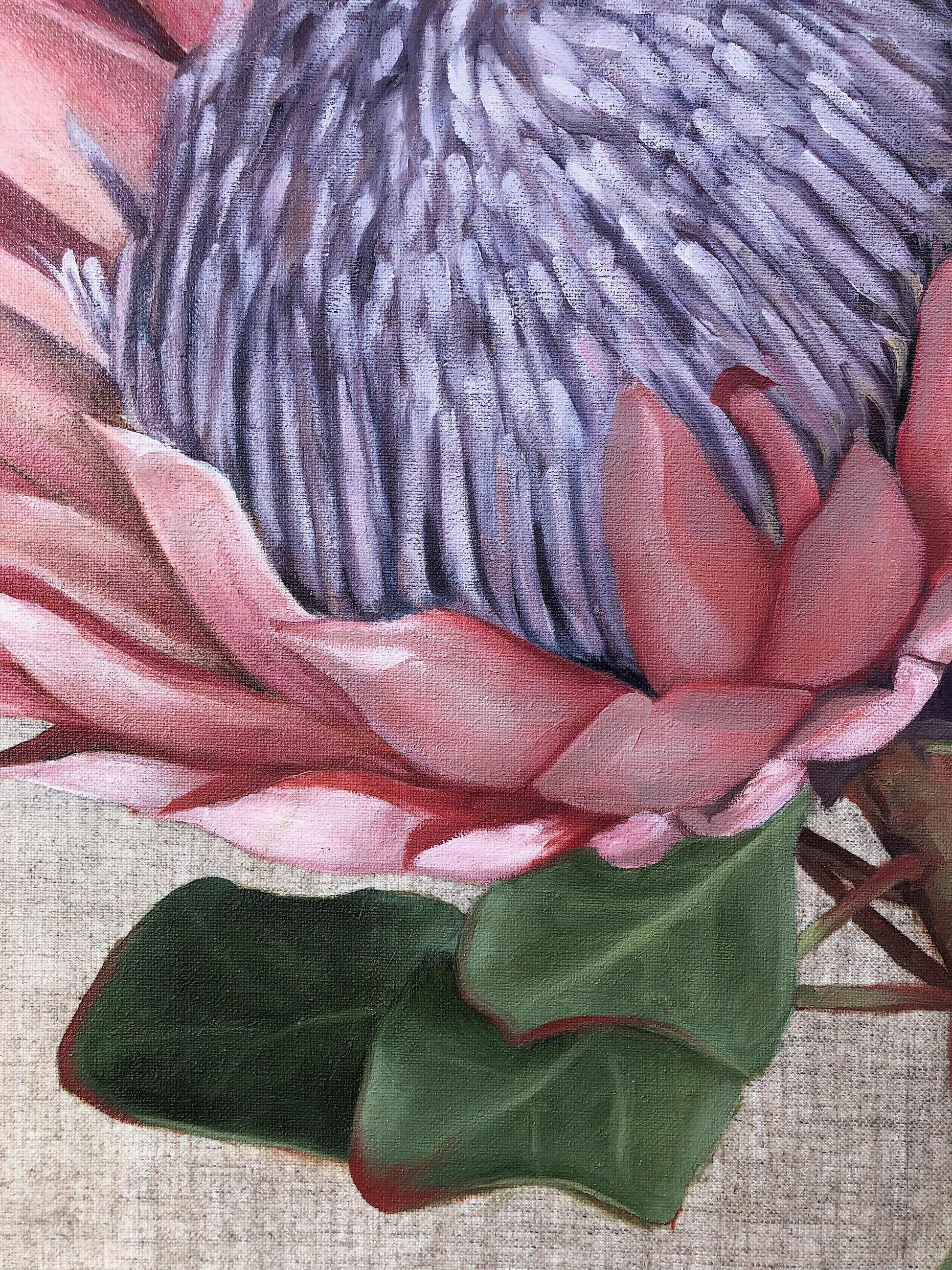 King Protea
