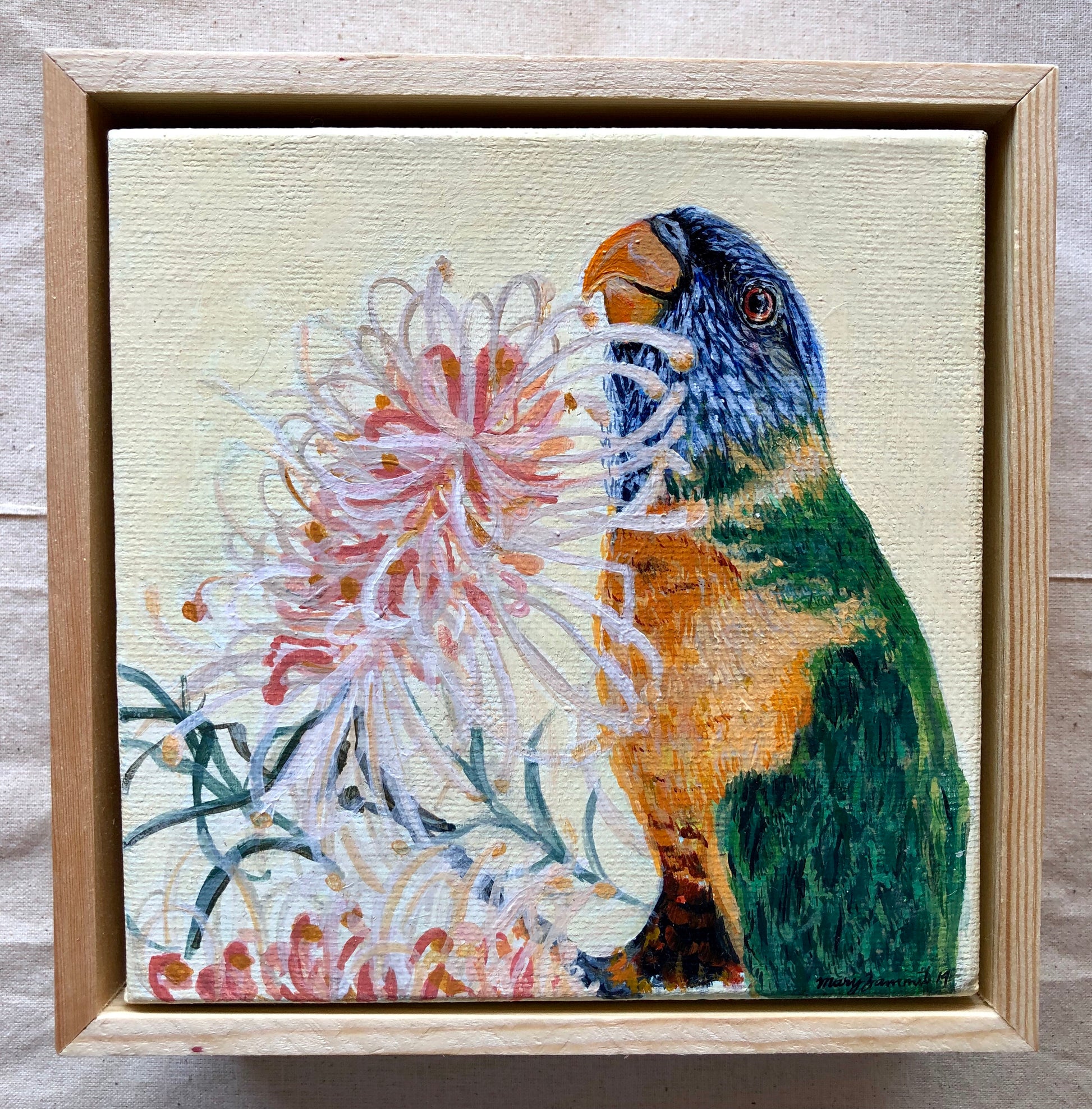 Rainbow Lorikeet & Grevillea