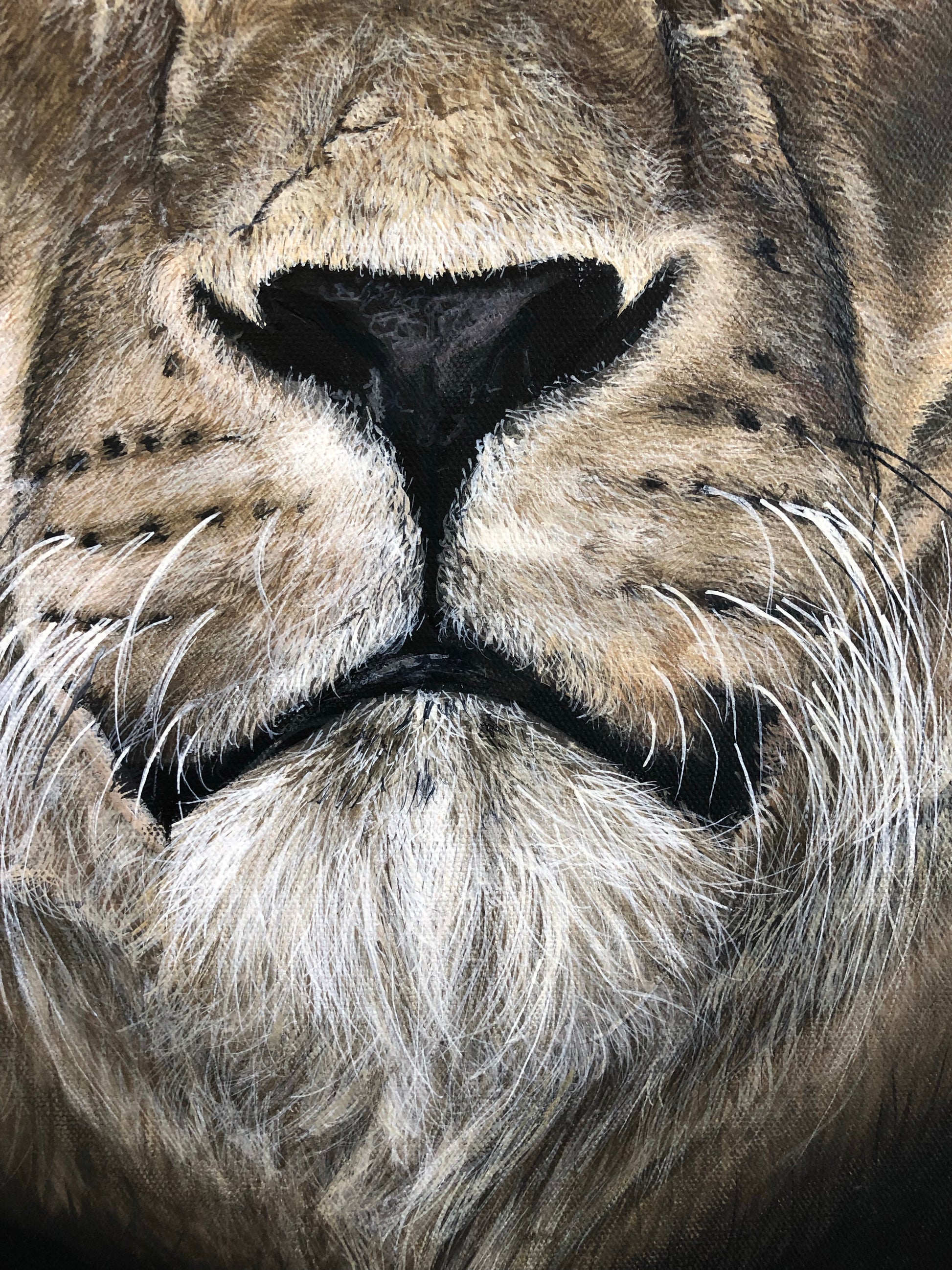 Original Lioness