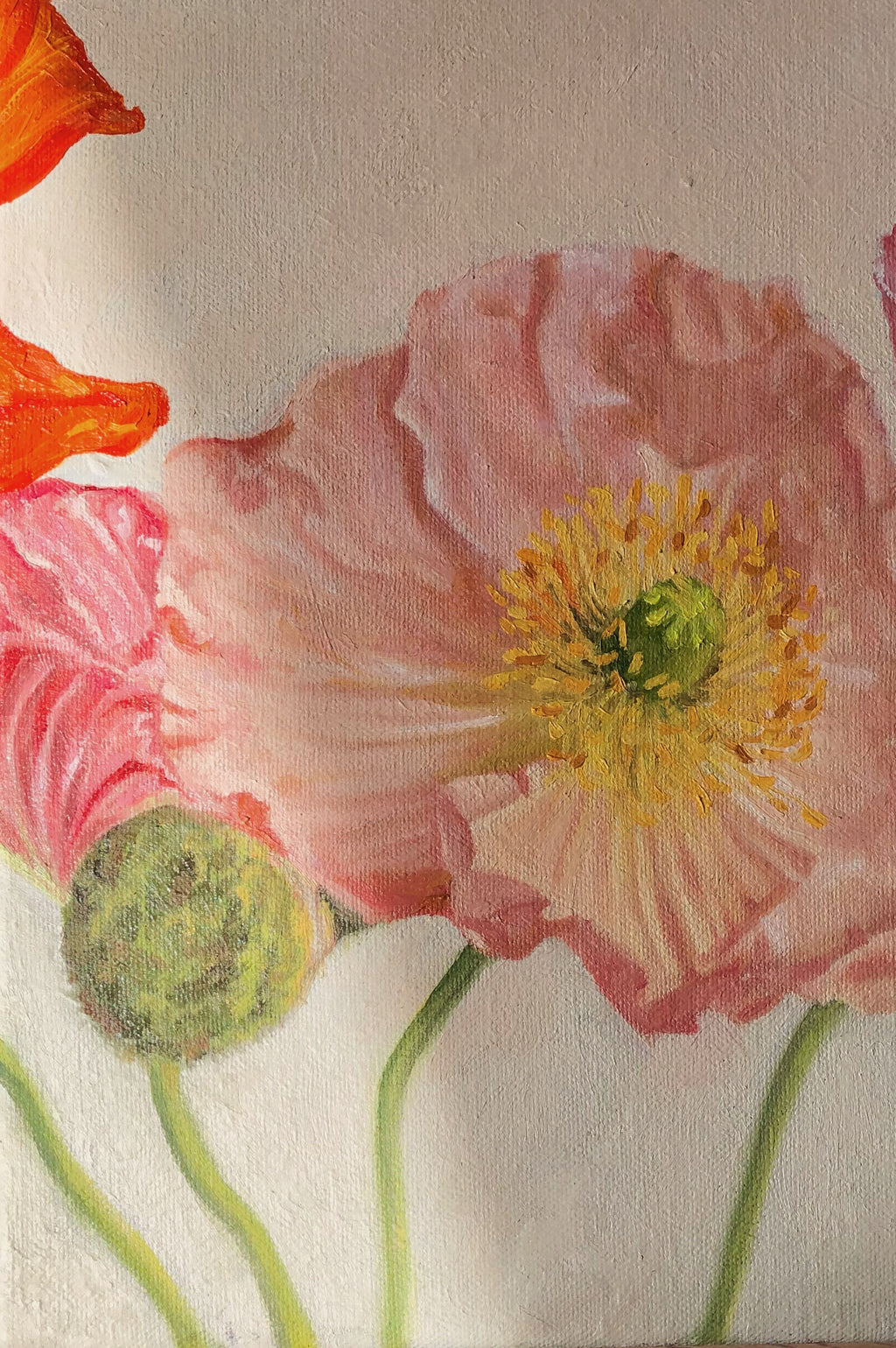 Poppies