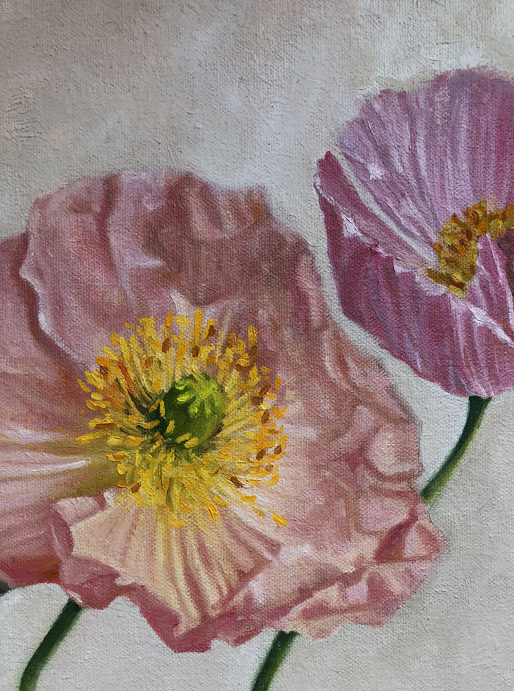 Poppies