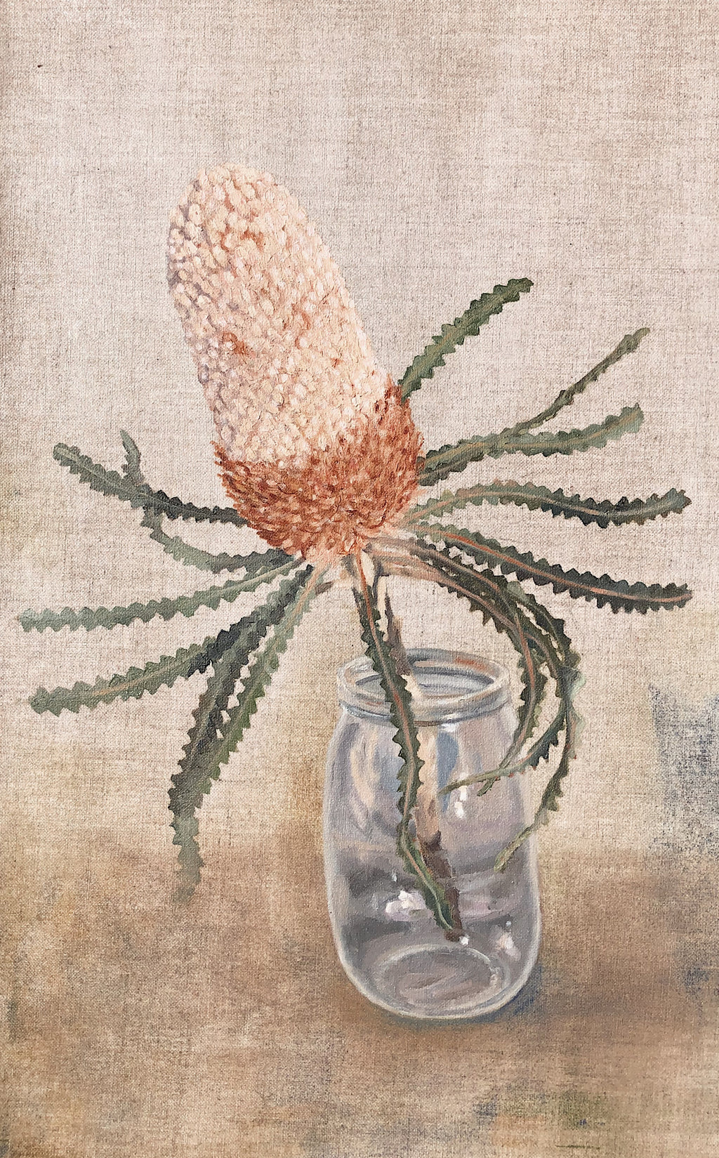 Banksia in Jar